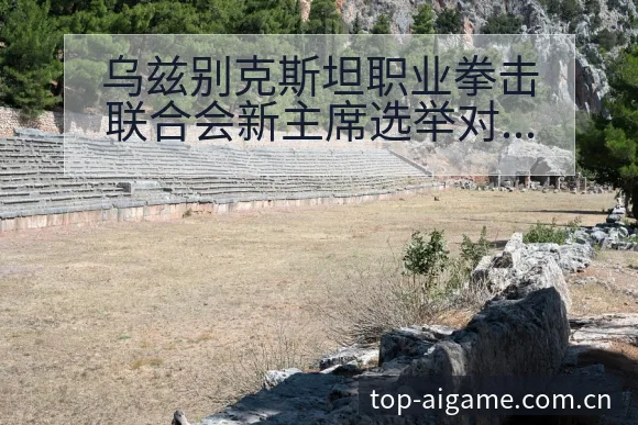 乌兹别克斯坦职业拳击联合会新主席选举对阵容结构的深远影响 - 爱游戏app